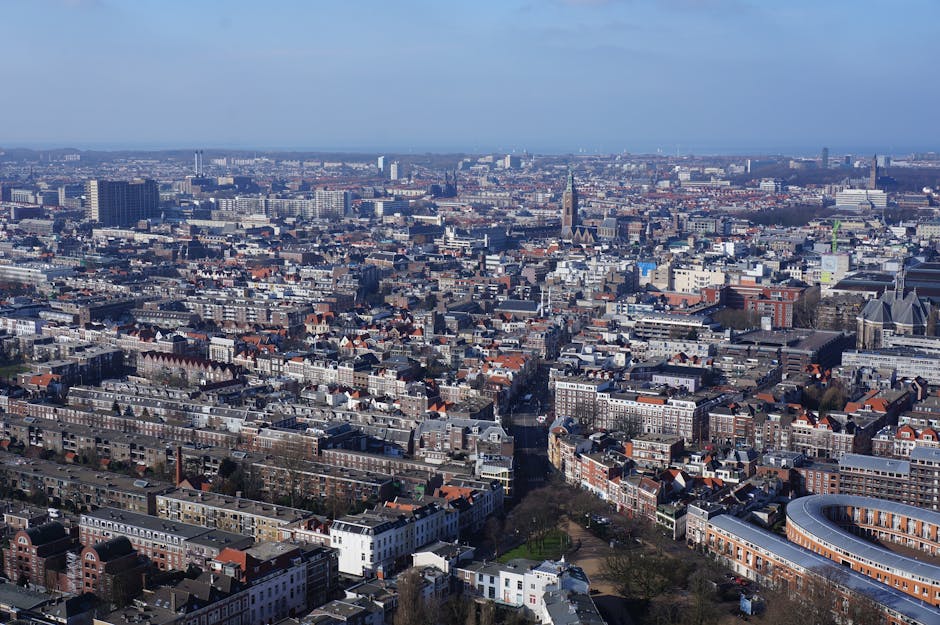 Wat kost een rondleiding in de stad Den Haag en wat krijg je ervoor?